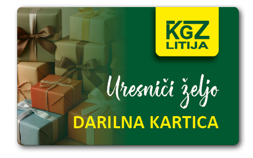 Darilna kartica